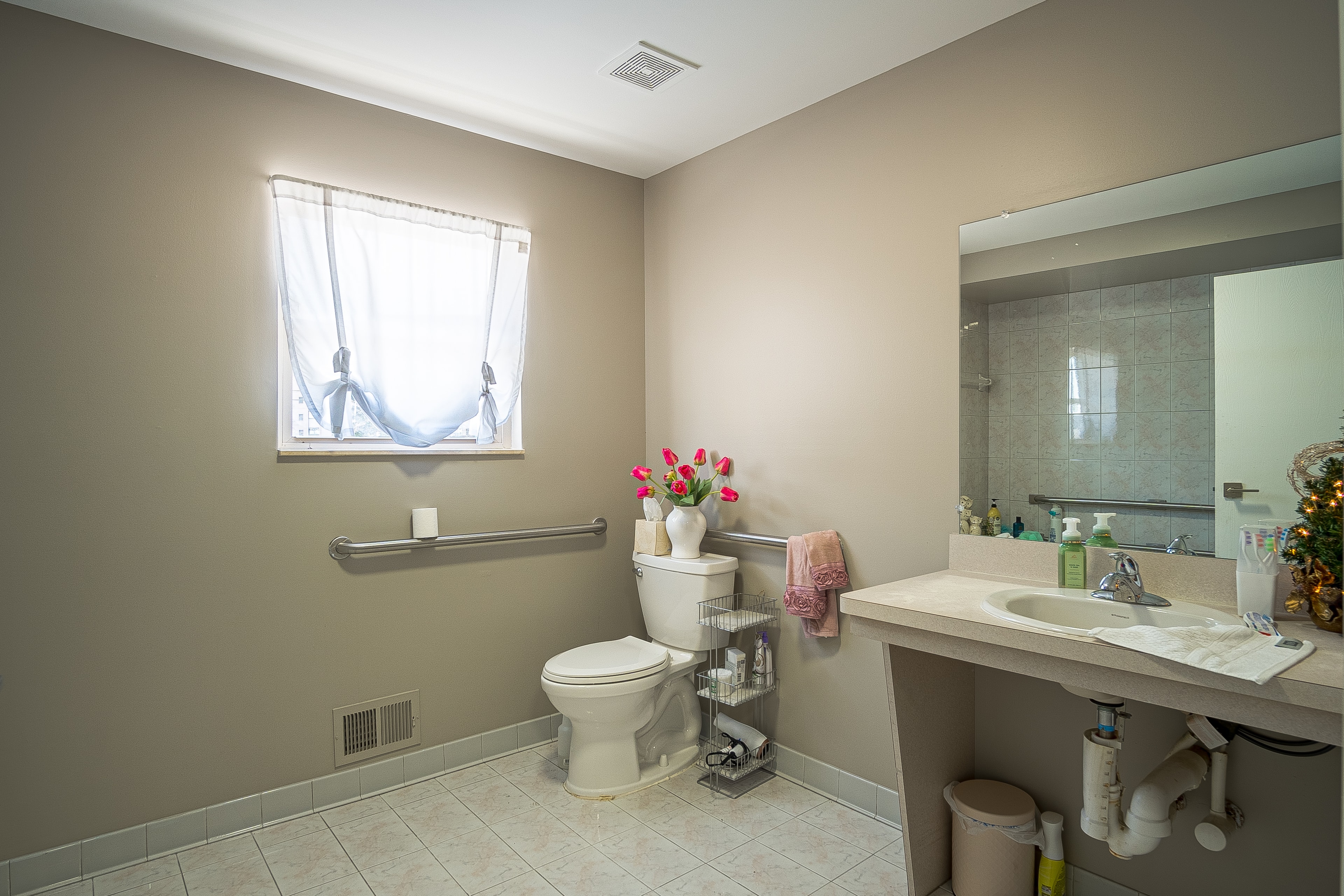 Modern bathroom vanity and toilet