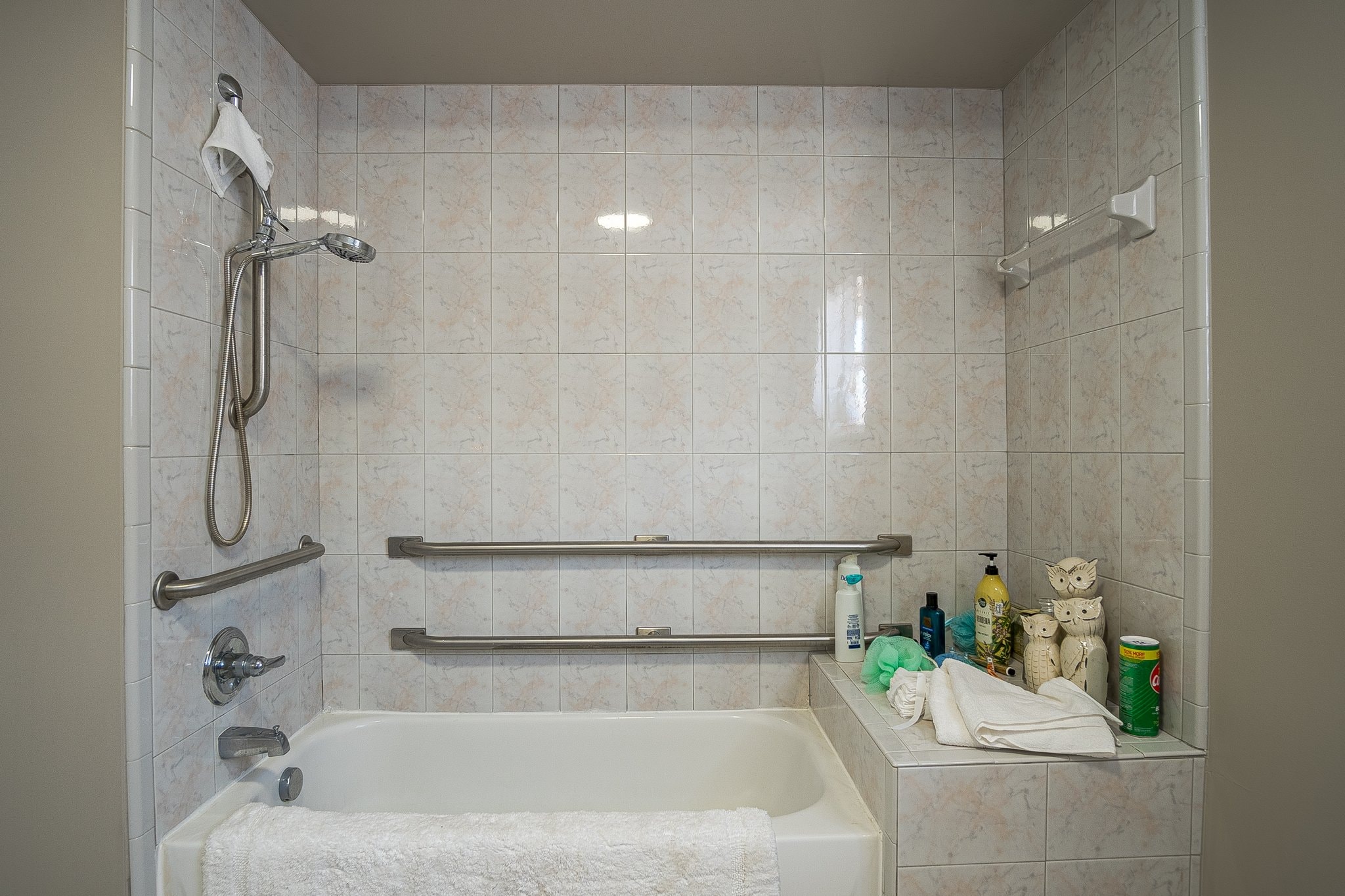 Accessible bathroom shower and bathtub
